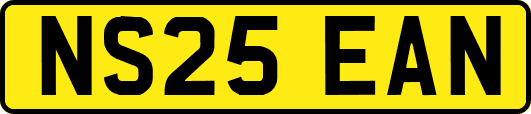 NS25EAN