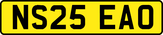 NS25EAO