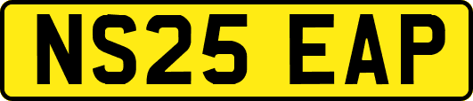 NS25EAP