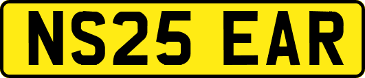 NS25EAR