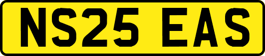 NS25EAS