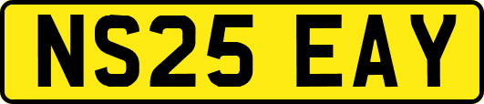 NS25EAY
