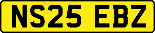 NS25EBZ