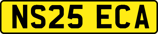 NS25ECA