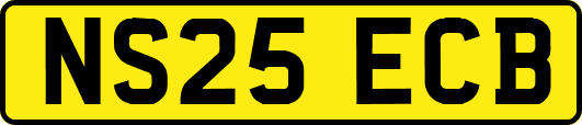 NS25ECB