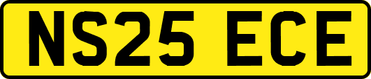 NS25ECE