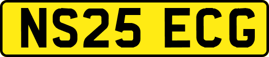 NS25ECG
