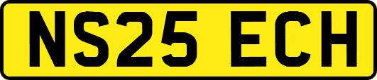 NS25ECH