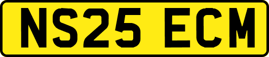 NS25ECM