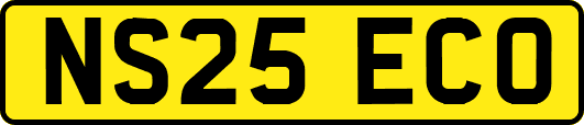 NS25ECO