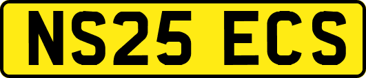 NS25ECS