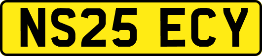 NS25ECY