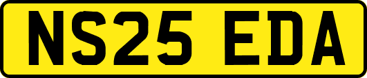 NS25EDA