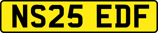 NS25EDF