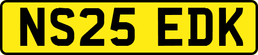 NS25EDK