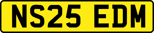 NS25EDM