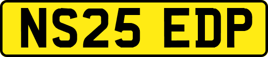 NS25EDP