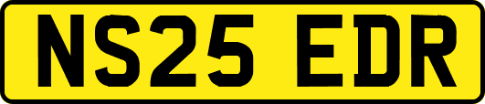 NS25EDR