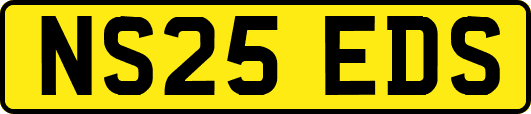 NS25EDS