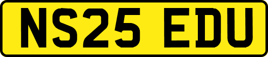 NS25EDU