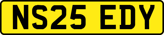 NS25EDY