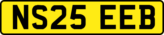 NS25EEB