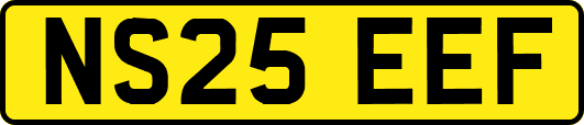 NS25EEF