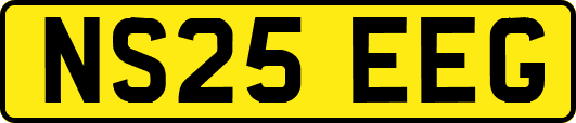 NS25EEG
