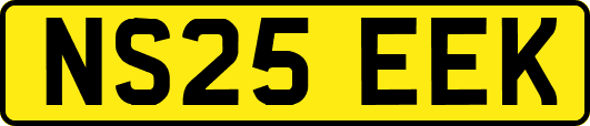 NS25EEK