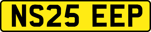 NS25EEP