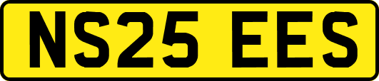 NS25EES