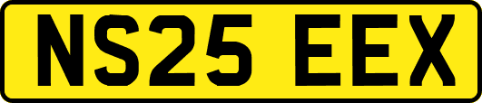 NS25EEX