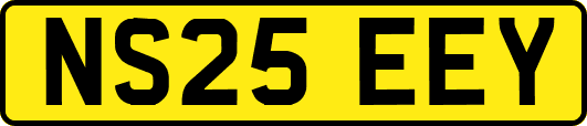 NS25EEY