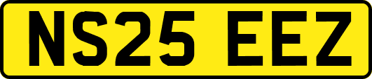 NS25EEZ