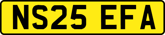 NS25EFA