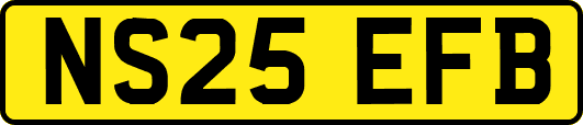 NS25EFB