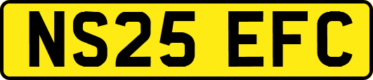 NS25EFC