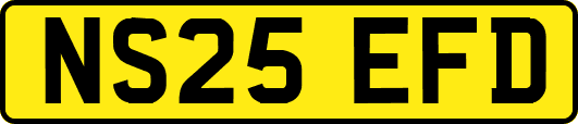 NS25EFD