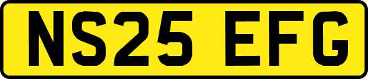 NS25EFG