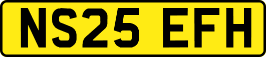 NS25EFH
