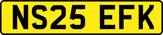 NS25EFK