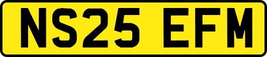 NS25EFM