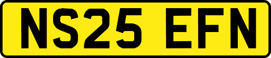NS25EFN