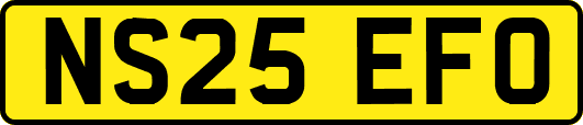 NS25EFO