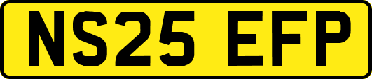 NS25EFP