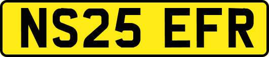 NS25EFR
