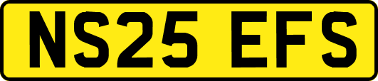 NS25EFS