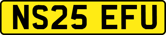 NS25EFU
