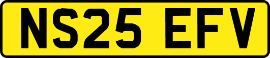 NS25EFV