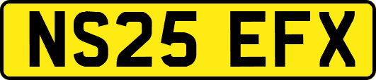 NS25EFX